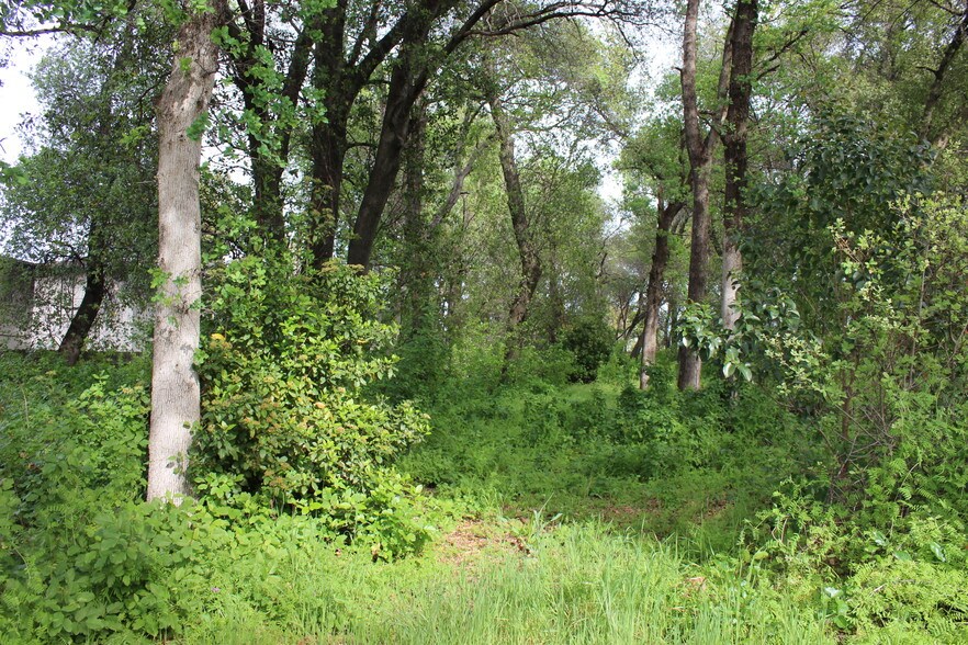 More Photos Of 3165 Bechelli Ln, Redding Land For Sale