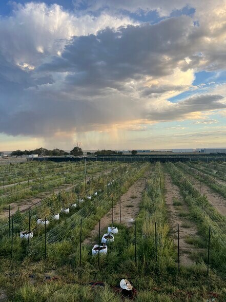 More Photos Of 8162 Maverick Ln, Ordway Land For Sale