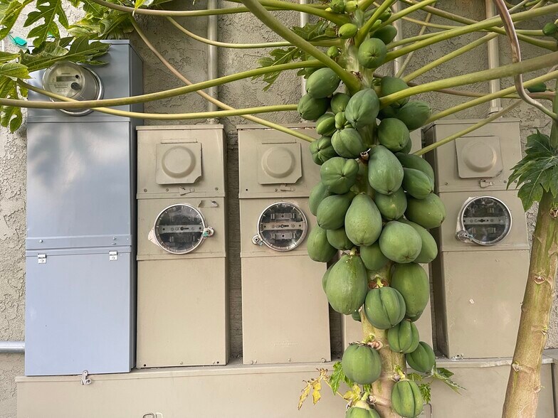 More Photos Of 10616-10622 Katella Ave, Anaheim Loft Creative Space For Sale