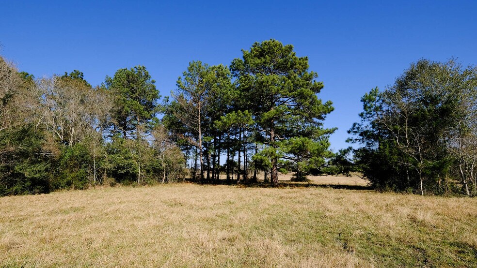 More Photos Of 26266 Fields Store Rd., Waller Land For Sale