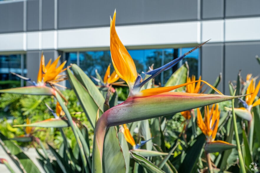 More Photos Of 25361 Commercentre Dr, Lake Forest Loft Creative Space For Lease