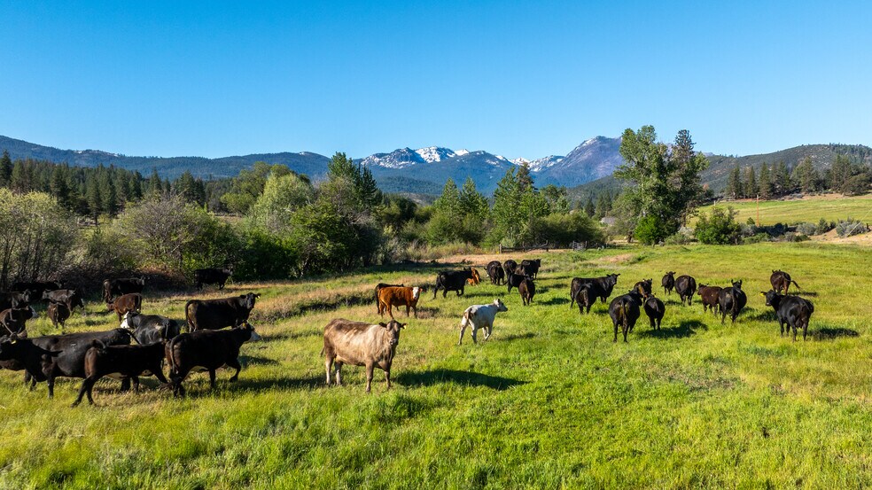 More Photos Of 6726 Gazelle Callahan Rd, Gazelle Land For Sale