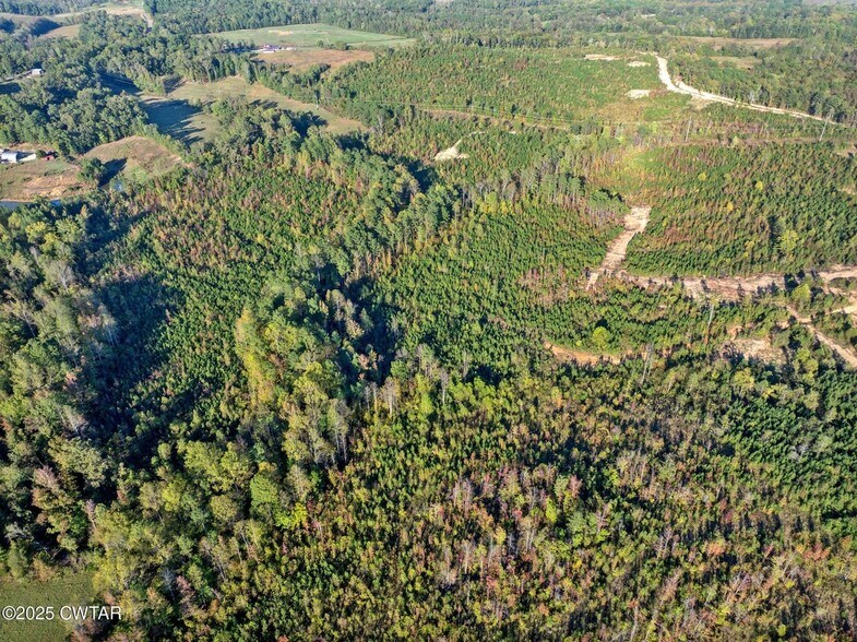More Photos Of 7 Tucker Rd, Bath Springs Land For Sale