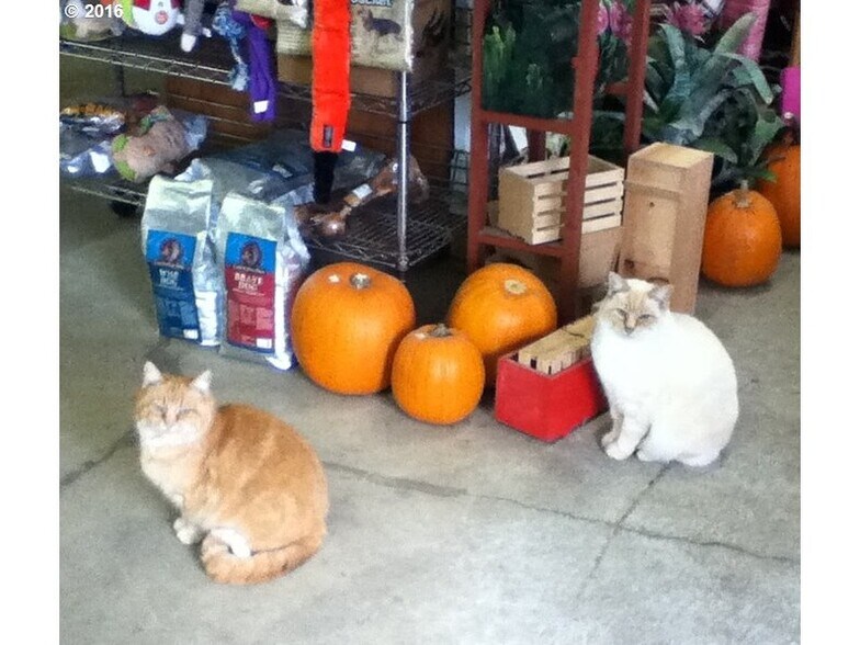 More Photos Of 327 River Rd, Cottage Grove General Retail For Sale