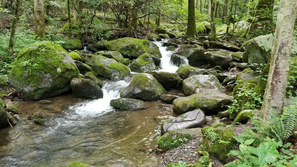 More Photos Of 290 N Main St, Robbinsville Hotel For Sale