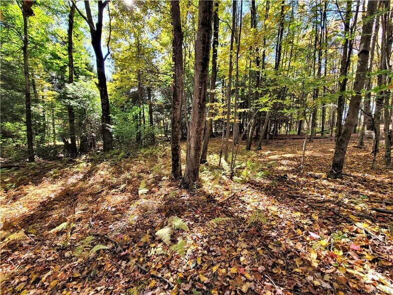 More Photos Of Kaufman Rd, Monticello Land For Sale