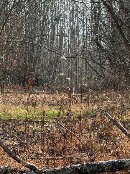 More Photos Of 4604 Summersville Rd, Campbellsville Land For Sale