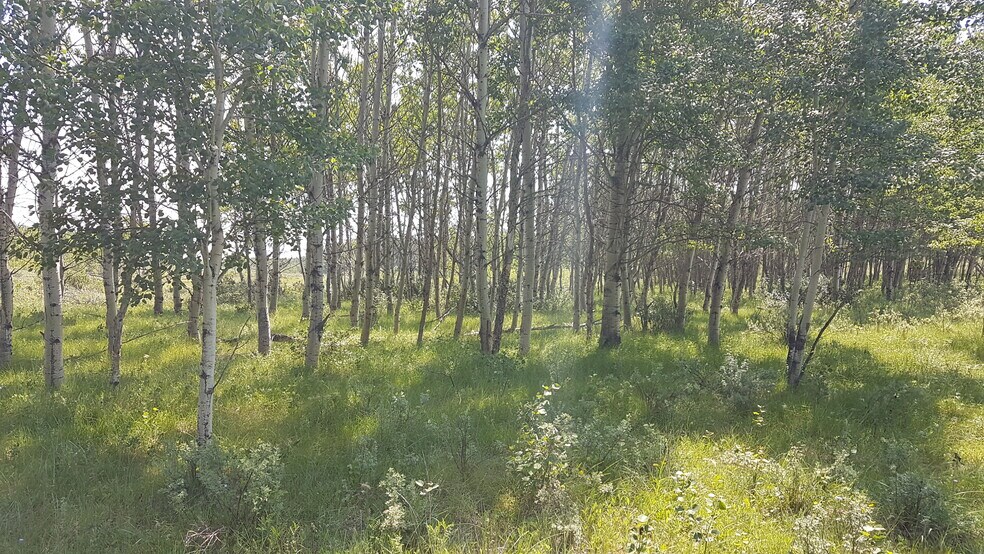 More Photos Of 2 Bow River, Rocky View No 44 Land For Sale