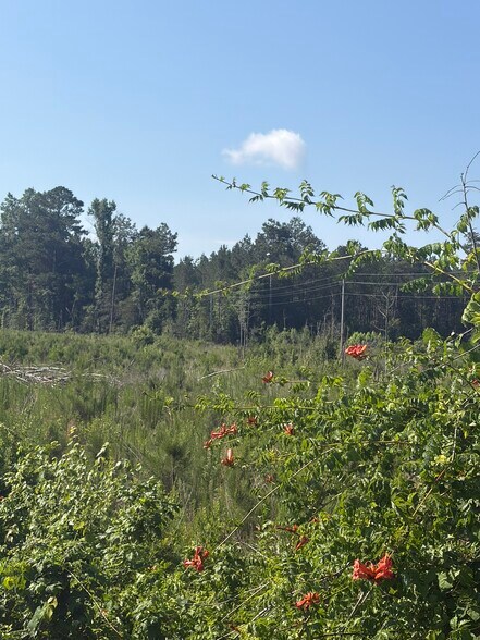 More Photos Of 00 Everett Chappell Rd, Mount Gilead Land For Sale