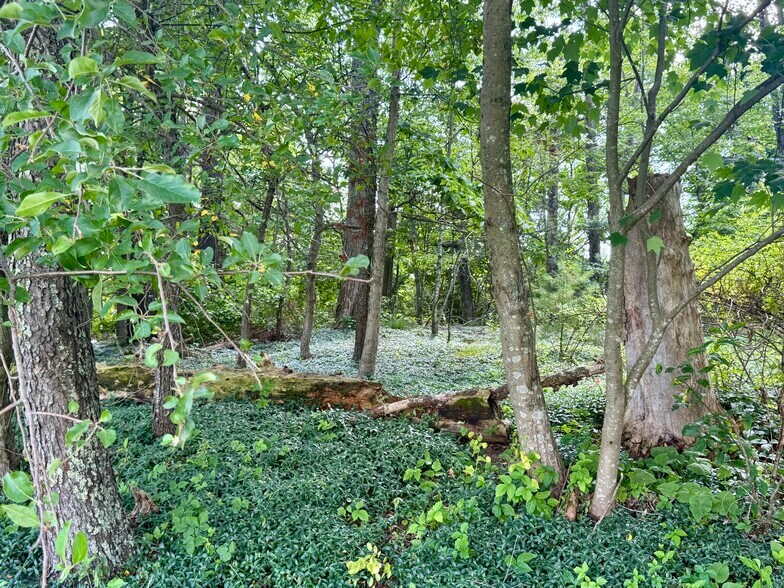 More Photos Of 1388 Ritter Dr, Daniels Freestanding For Sale