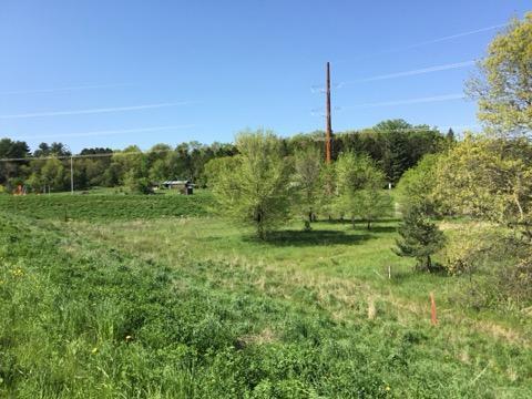 Primary Photo Of Xxx County Road 24 & 63rd Ave, Cannon Falls Land For Sale