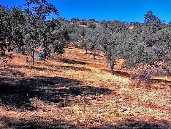 More Photos Of 38176 Cardinal, Yokuts Valley Land For Sale