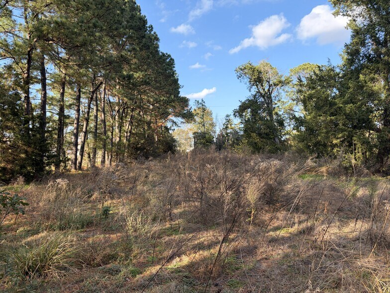 More Photos Of 2995 Pecan Ave, Waller Land For Sale