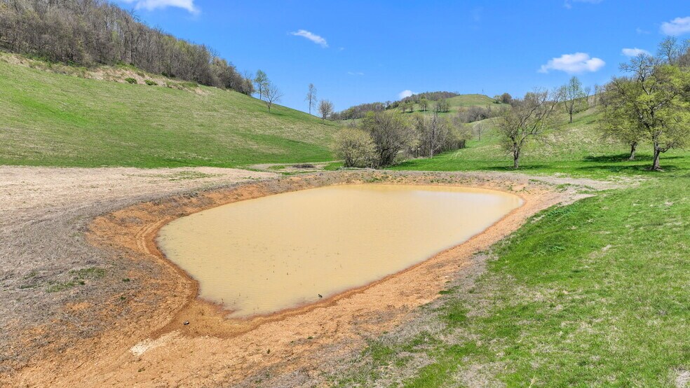 More Photos Of 0 McLaughlin Rd, Shelbyville Land For Sale