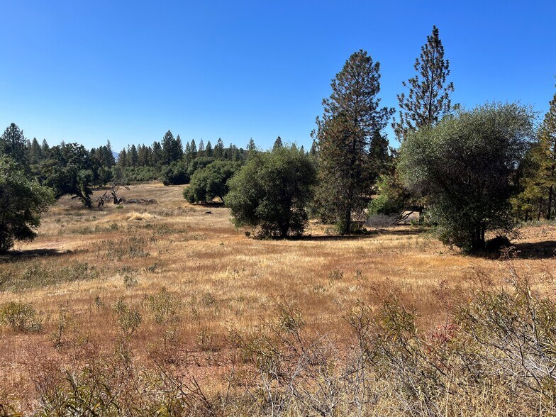 More Photos Of 7559 Alamo Rd, Mountain Ranch Land For Sale