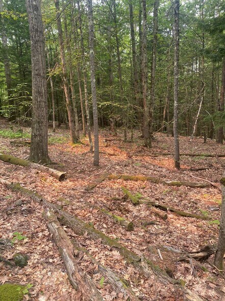 More Photos Of Daggett Hill (TM R16-3) Rd, Westmoreland Land For Sale