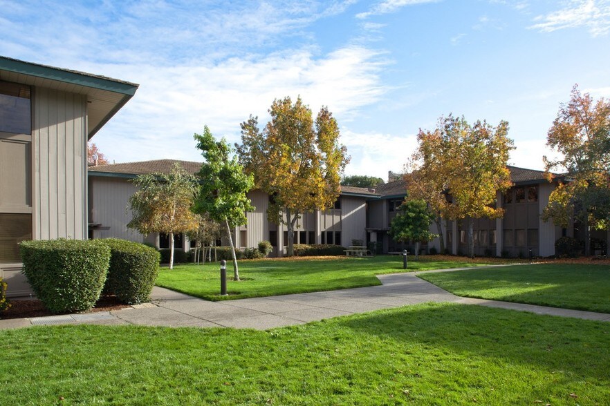 More Photos Of 165-185 N Redwood Dr, San Rafael Office For Lease