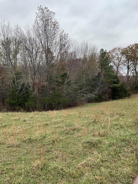 More Photos Of 3203 Lee Seminary Rd, Cookeville Land For Sale