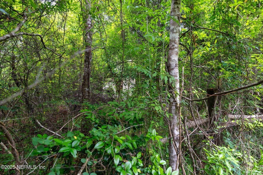 More Photos Of 8549 Acree Rd, Jacksonville Land For Sale