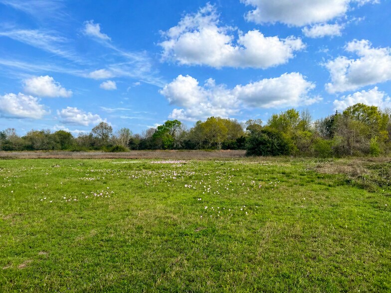 Primary Photo Of TBD FM 1161 Road, Wharton Land For Sale