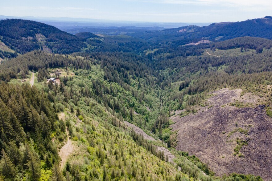 More Photos Of 0 Snag Mountain Road, Washougal Land For Sale