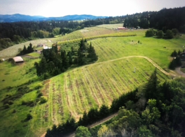 More Photos Of 4551 Post Canyon Dr, Hood River Land For Sale