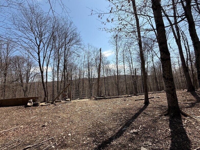 More Photos Of 127 Blum Rd, Equinunk Land For Sale