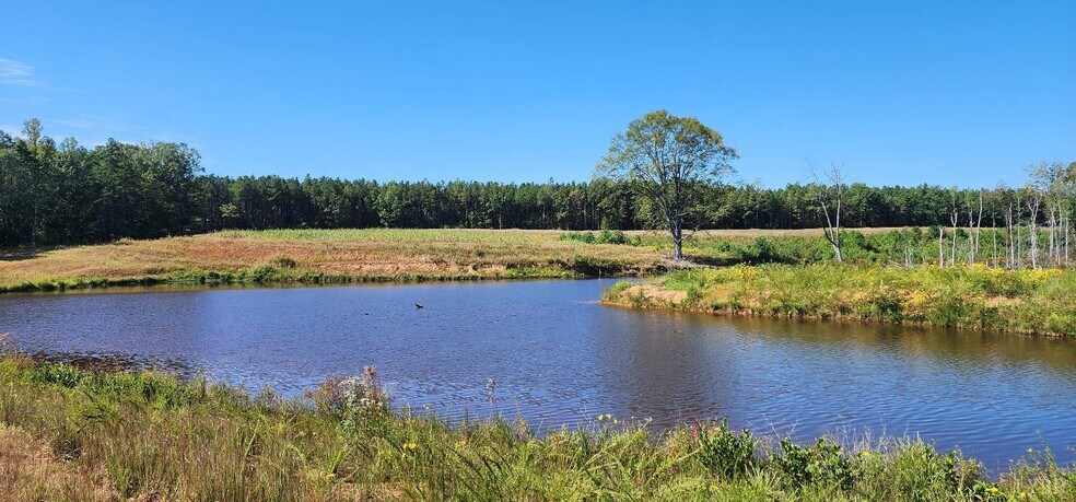 More Photos Of Glenmore Road, Scottsville Land For Sale