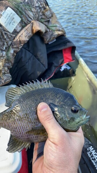 More Photos Of 7357 Ono Rd, Palmetto Land For Sale