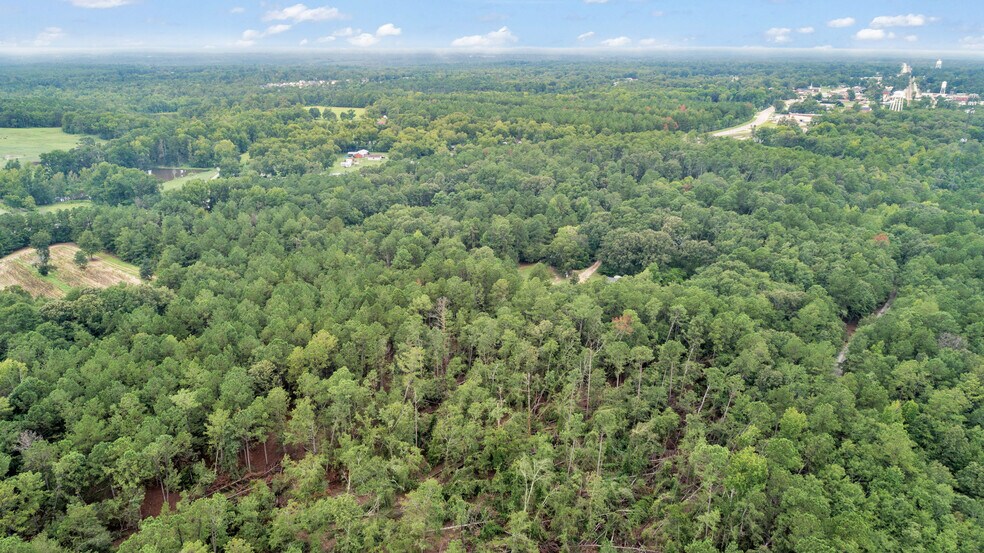 More Photos Of 00 Planer Mill Road, Harlem Land For Sale