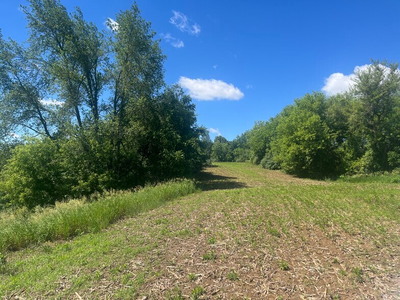 More Photos Of Fahrner Rd, Chelsea Land For Sale