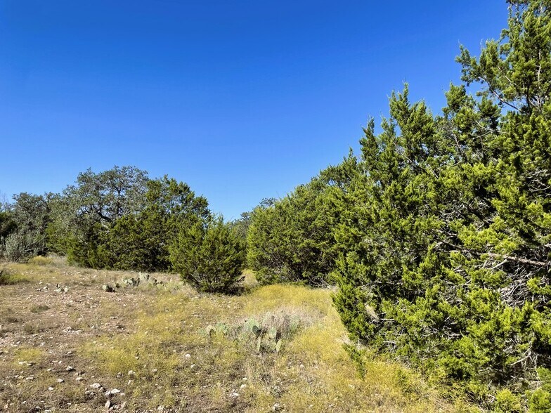 More Photos Of 1276 Farm to Market Road 574, Mullin Land For Sale