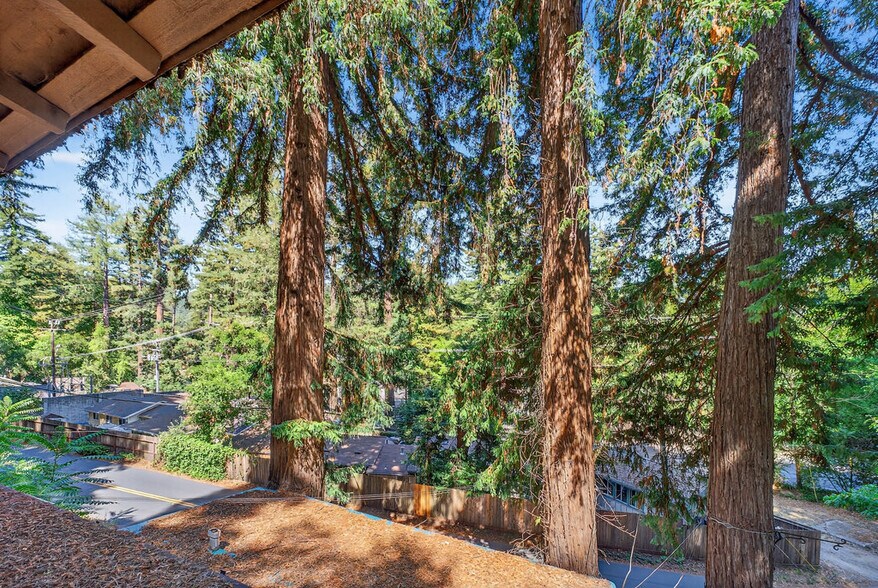 More Photos Of 9969 Alba Rd, Ben Lomond Apartments For Sale