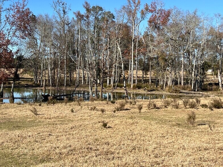 More Photos Of 269 Pea Ridge Rd, Montrose Land For Sale