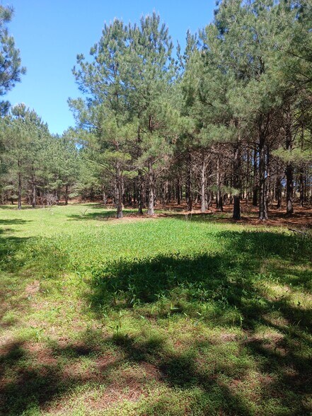More Photos Of 414000 E 1920 Rd, Antlers Land For Sale