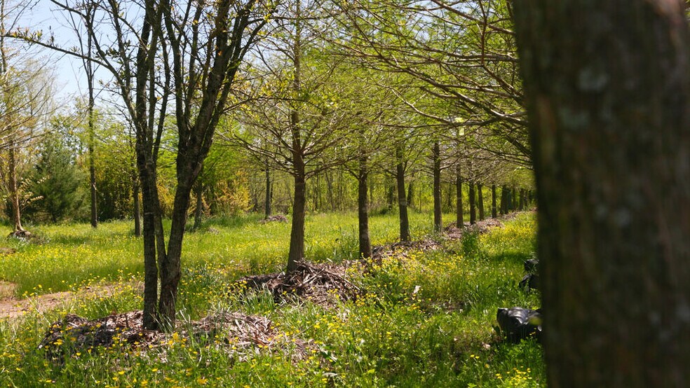 More Photos Of 500 Tree Farm Rd, Garvin Land For Sale