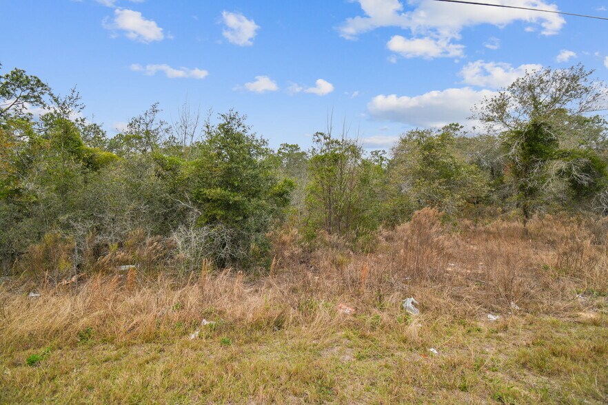More Photos Of 0 Sunshine Grove Rd, Brooksville Land For Sale