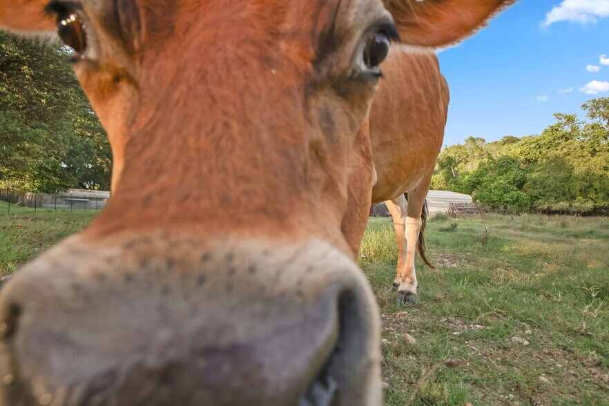 More Photos Of 319 Los Indios Ranch Rd, Boerne Specialty For Sale