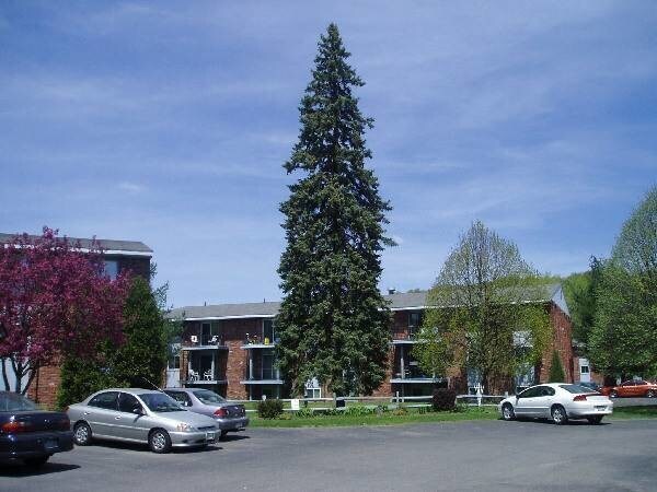 More Photos Of 44 Rickard St, Cortland Apartments For Sale