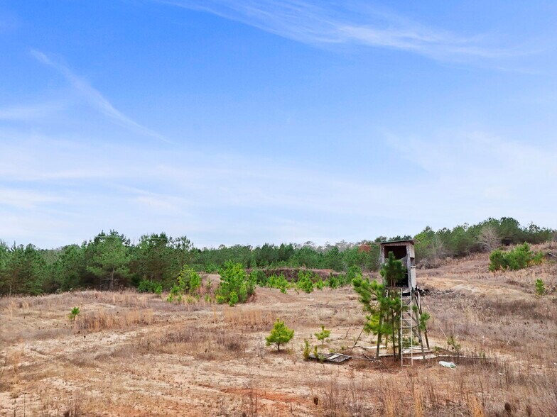 More Photos Of 16.31+/- AC Franklin Parkway Franklin GA 30217, Franklin Land For Sale