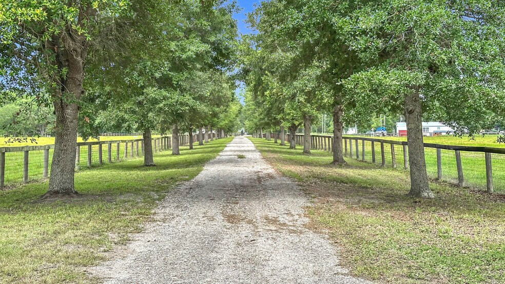 More Photos Of 46700 Middle Rd, Callahan Land For Sale