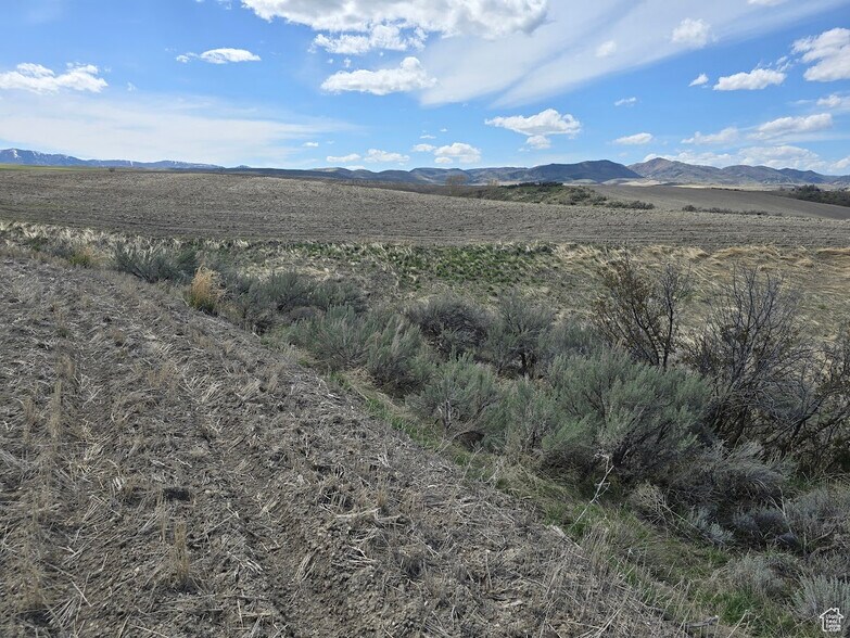 More Photos Of 4700 5800 S w, Weston Land For Sale