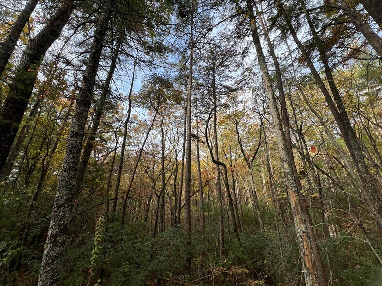 More Photos Of Whitecliff Drive, Ellijay Land For Sale