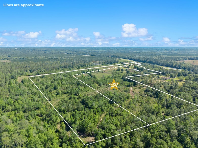 More Photos Of 39207 State Highway 59, Bay Minette Land For Sale