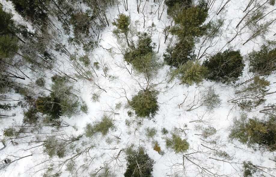 More Photos Of 10 Enterprise Dr, Arundel Land For Sale