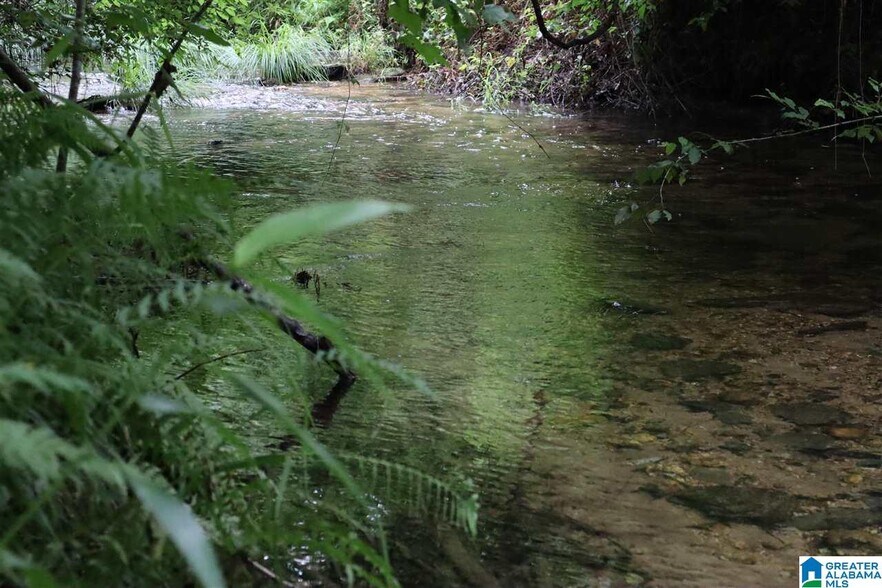 More Photos Of 0 County Rd 61, Fruithurst Land For Sale