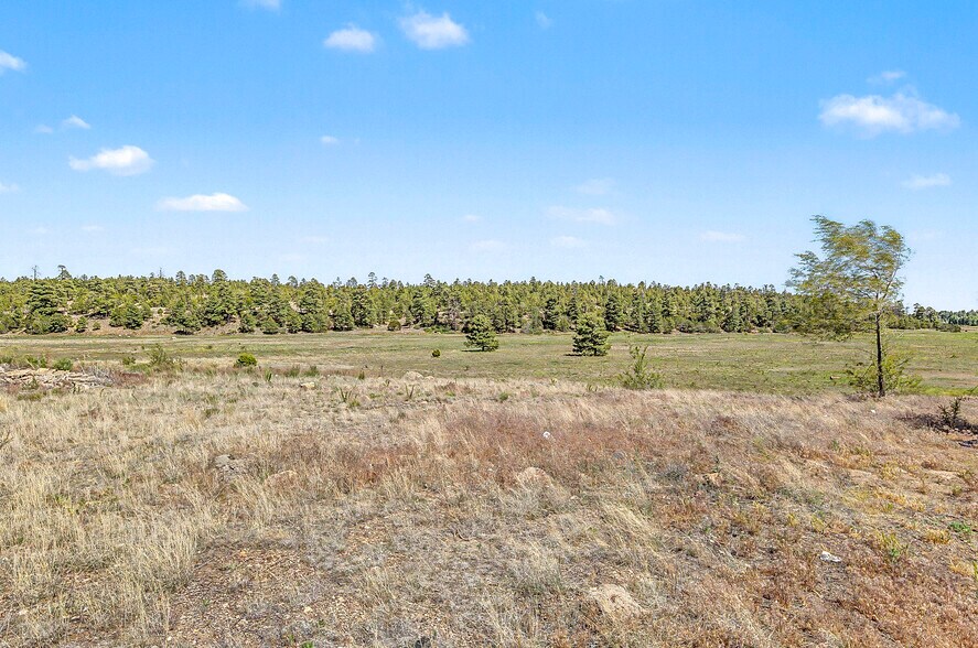 More Photos Of 5255 E Cortland Blvd, Flagstaff Land For Sale