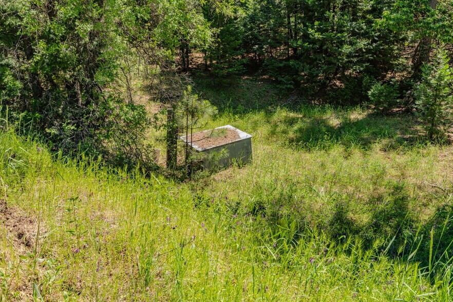 More Photos Of 25755 State Highway 88, Pioneer Land For Sale