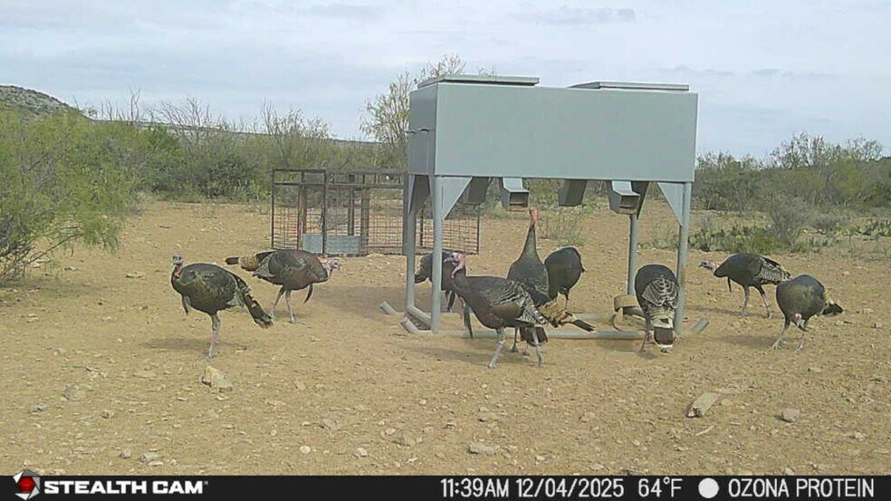 More Photos Of 0000 Clegg Rd, Ozona Land For Sale