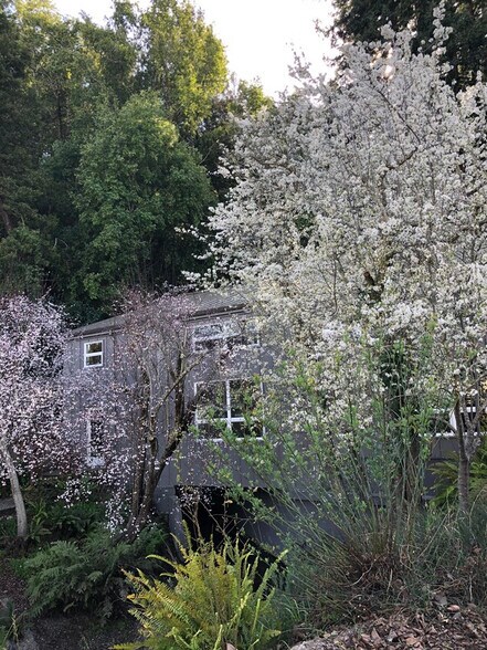 More Photos Of 157 Throckmorton Ave, Mill Valley Office For Lease